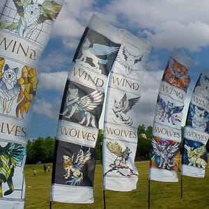Wind Wolves Traveling Kite Show Feather Banners